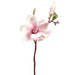 14.5" Magnolia Silk Flower Stem -Cream/Pink (Pack of 12) - FKM021-CR/PK