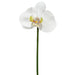 10" Silk Phalaenopsis Orchid Flower Stem Pick -White/Green (pack of 12) - FKO684-WH/GR