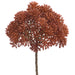 10" Sedum Artificial Flower Stem Pick -Rust (Pack of 12) - FKS100-RU