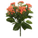 17.25" Silk Kalanchoe Flower Bush -Orange (Pack of 4) - FL170102