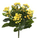 17.25" Silk Kalanchoe Flower Bush -Yellow (Pack of 4) - FL170103