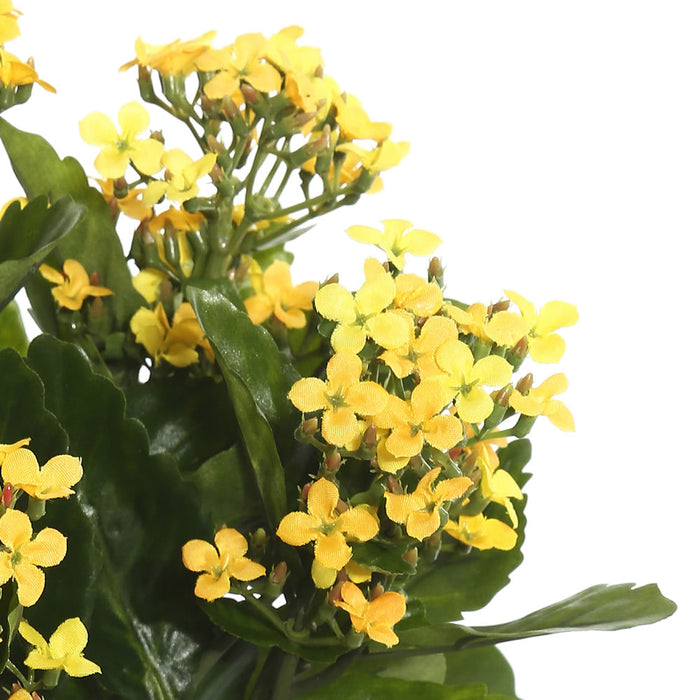 17.25" Silk Kalanchoe Flower Bush -Yellow (Pack of 4) - FL170103