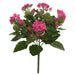 17.25" Silk Kalanchoe Flower Bush -Hot Pink (Pack of 4) - FL170104