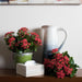 15" Silk Kalanchoe Flower Bush -Red (Pack of 4) - FL170201