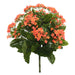 15" Silk Kalanchoe Flower Bush -Orange (Pack of 4) - FL170202