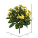 15" Silk Kalanchoe Flower Bush -Yellow (Pack of 4) - FL170203