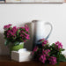 15" Silk Kalanchoe Flower Bush -Hot Pink (Pack of 4) - FL170204