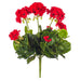 15.25" Silk Geranium Flower Bush -Red (Pack of 6) - FL170502