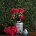 15.25" Silk Geranium Flower Bush -Red (Pack of 6) - FL170502