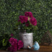 15.25" Silk Geranium Flower Bush -Light Pink (Pack of 6) - FL170503