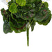 15.25" Silk Geranium Flower Bush -White (Pack of 6) - FL170504