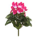 11" Silk Cyclamen Flower Bush -Beauty (Pack of 6) - FL170701