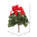 11" Silk Cyclamen Flower Bush -Red (Pack of 6) - FL170702