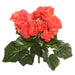 9.5" Silk Begonia Flower Bush -Orange/Red (Pack of 6) - FL171001