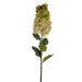 35.5" Silk Cone Hydrangea Flower Stem -Light Green (Pack of 6) - FM228104