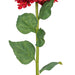33" Silk Cone Hydrangea Flower Stem -Burgundy (Pack of 6) - FM228165