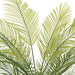 4'2" Areca Silk Palm Tree w/Plastic Pot -Green - FM238550