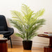 4'2" Areca Silk Palm Tree w/Plastic Pot -Green - FM238550