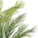 5' Areca Silk Palm Tree w/Plastic Pot -Green - FM238560