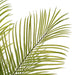 5' Areca Silk Palm Tree w/Plastic Pot -Green - FM238560