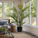 5'10" Areca Silk Palm Tree w/Plastic Pot -Green - FM238570