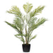 5'10" Areca Silk Palm Tree w/Plastic Pot -Green - FM238570