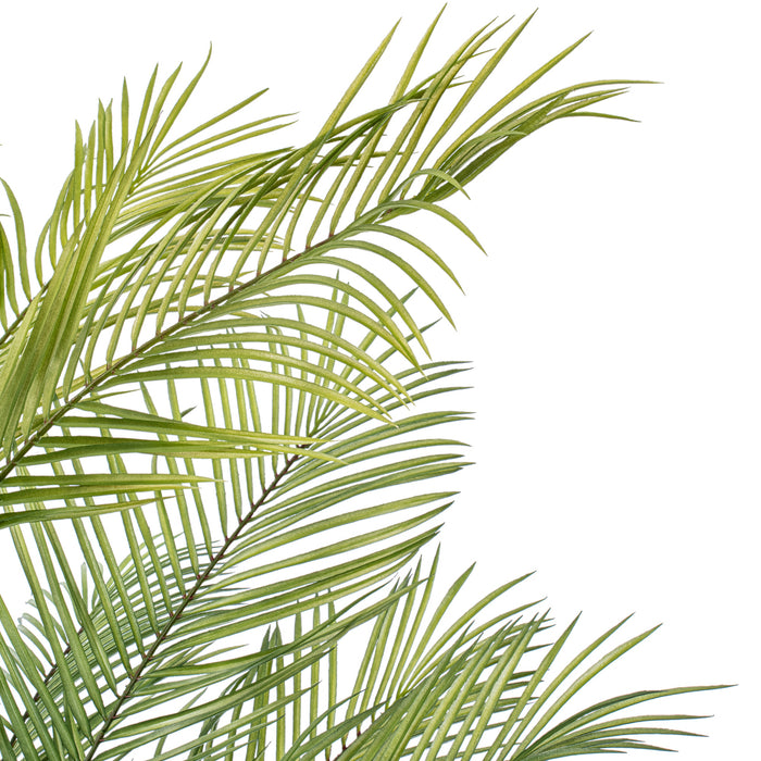 5'10" Areca Silk Palm Tree w/Plastic Pot -Green - FM238570