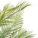 5'10" Areca Silk Palm Tree w/Plastic Pot -Green - FM238570