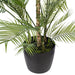 5'10" Areca Silk Palm Tree w/Plastic Pot -Green - FM238570