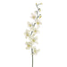 30" Silk Dendrobium Orchid Flower Stem -Cream/White (pack of 12) - FO8232-CR/WH