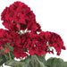 19" Faux Geranium Flower Bush -Red (Pack of 6) - FQ172901