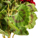18" Geranium Silk Flower Bush -Red (Pack of 8) - FQ173101-4