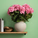 18" Geranium Silk Flower Bush -Coral (Pack of 8) - FQ173103-4