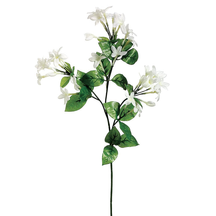 27" Stephanotis Silk Flower Stem -White (pack of 12) - FS8548-WH