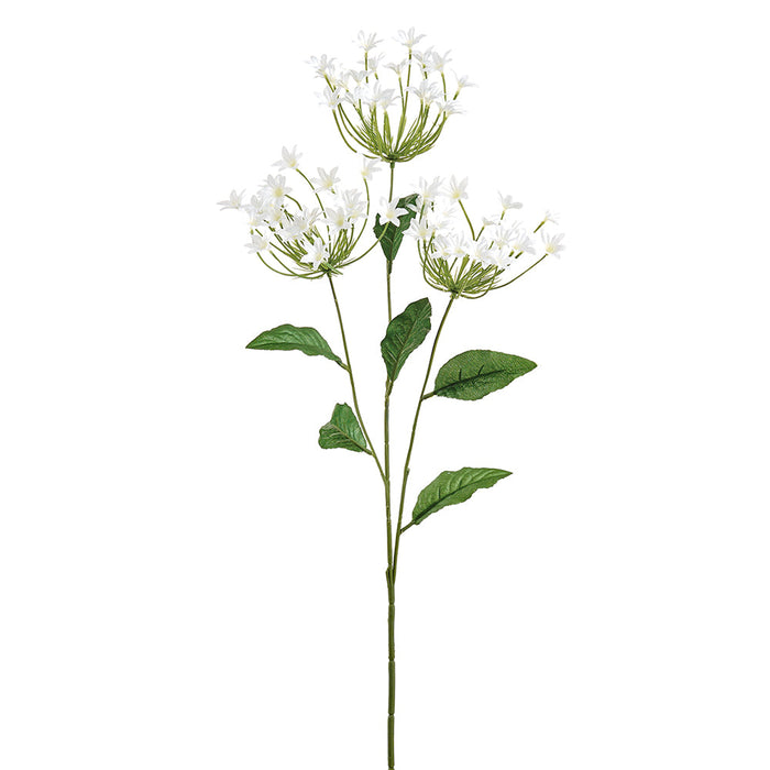 32" Agapanthus Silk Flower Stem -White (Pack of 12) - FSA003-WH
