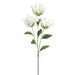 32" Agapanthus Silk Flower Stem -White (Pack of 12) - FSA003-WH