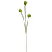 27" Artificial Allium Flower Stem -Green (pack of 12) - FSA007-GR