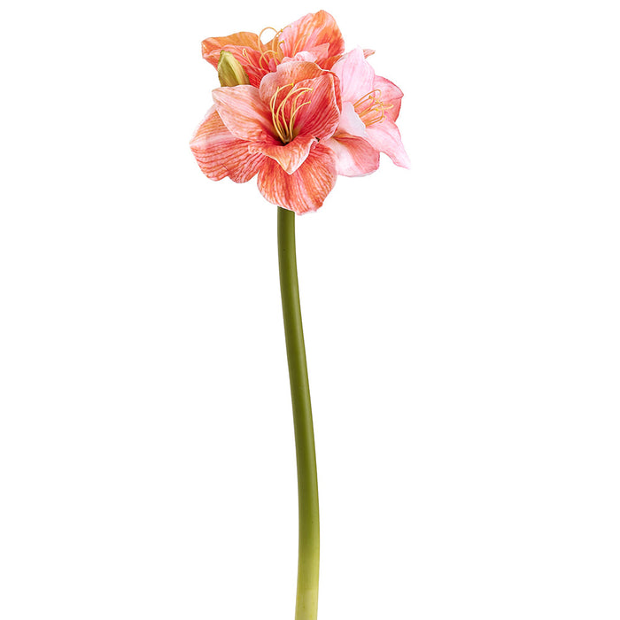 29" Amaryllis Silk Flower Stem -Coral (Pack of 6) - FSA010-CO