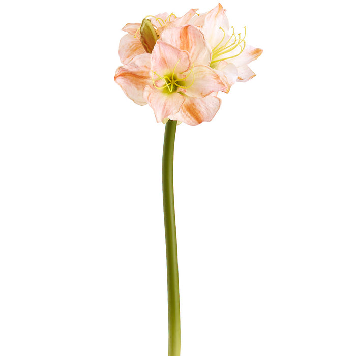 29" Amaryllis Silk Flower Stem -Cream/Coral (Pack of 6) - FSA010-CR/CO