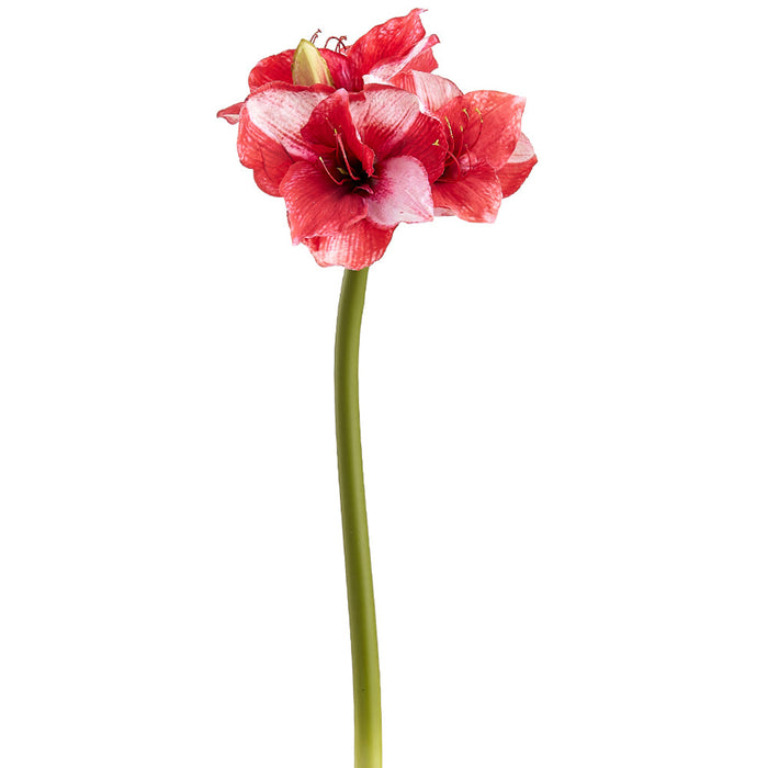 29" Amaryllis Silk Flower Stem -Red (Pack of 6) - FSA010-RE