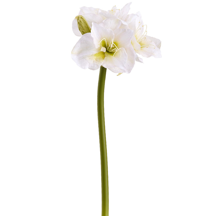 29" Amaryllis Silk Flower Stem -White/Green (Pack of 6) - FSA010-WH/GR