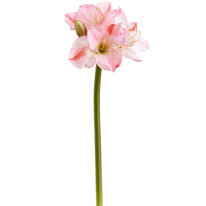 29" Amaryllis Silk Flower Stem -White/Pink (Pack of 6) - FSA010-WH/PK