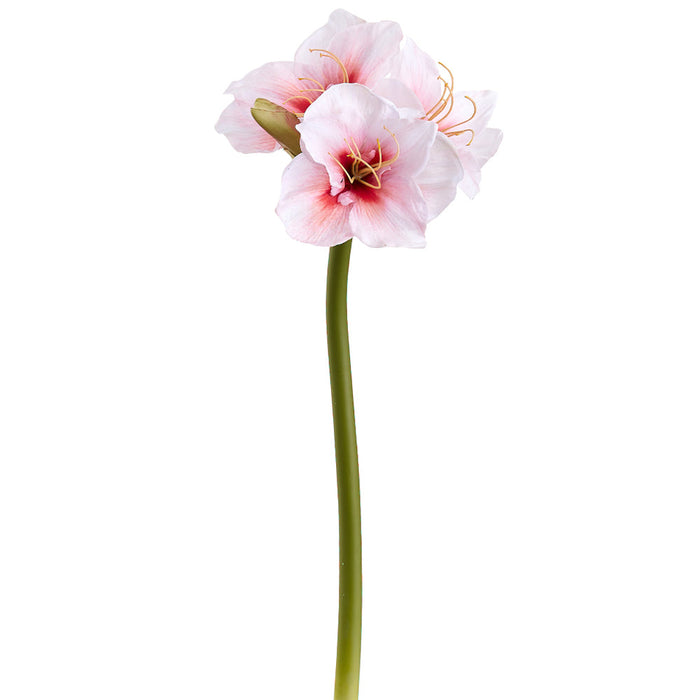 29" Amaryllis Silk Flower Stem -White/Red (Pack of 6) - FSA010-WH/RE