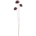 25" Silk Allium Flower Stem -Dark Brown (pack of 12) - FSA030-BR/DK