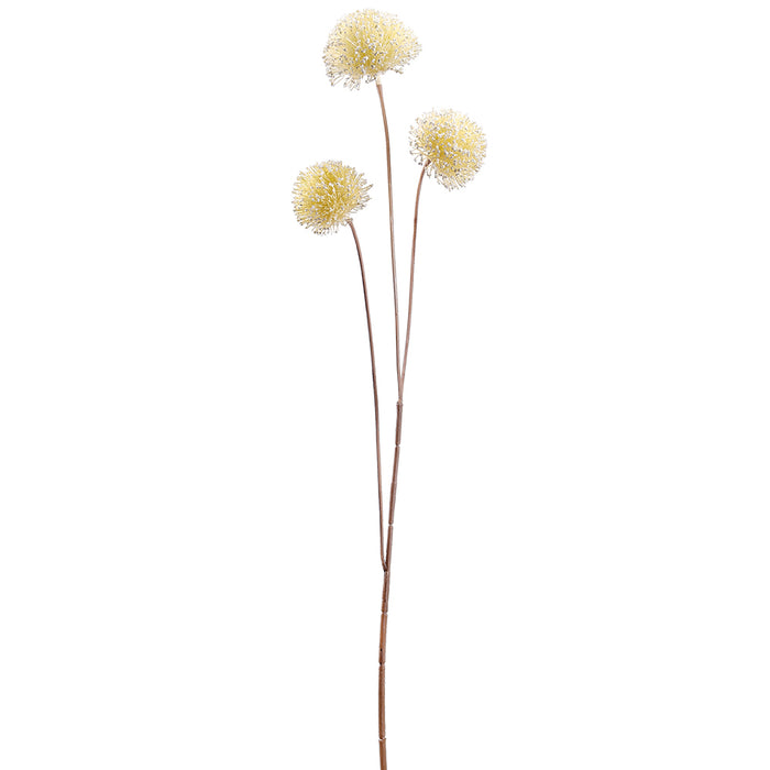 25" Silk Allium Flower Stem -White (pack of 12) - FSA030-WH