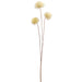 25" Silk Allium Flower Stem -White (pack of 12) - FSA030-WH