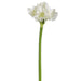 30" Real Touch Silk Amaryllis Flower Stem -White (pack of 6) - FSA044-WH