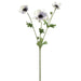 26" Silk Anemone Flower Stem -Cream/Lavender (pack of 12) - FSA049-CR/LV