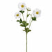 22" Anemone Silk Flower Stem -Cream (Pack of 12) - FSA050-CR