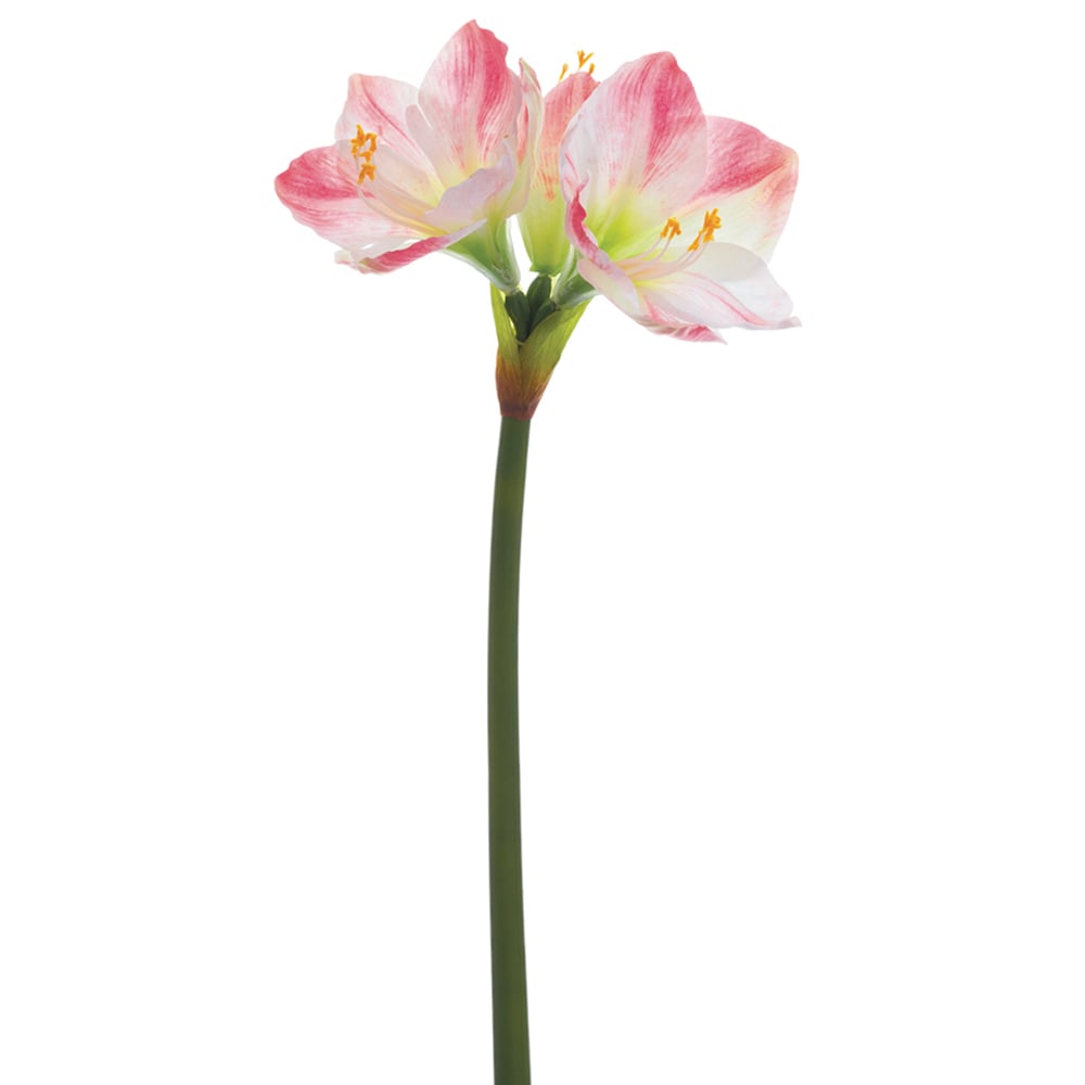 26" Amaryllis Silk Flower Stem White/Pink Amaryllis Stem — Silks Are